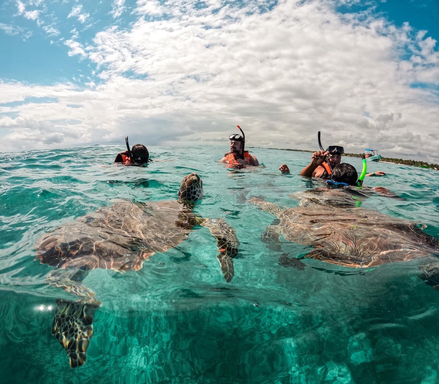 Snorkeling with sea turtles in Mexico