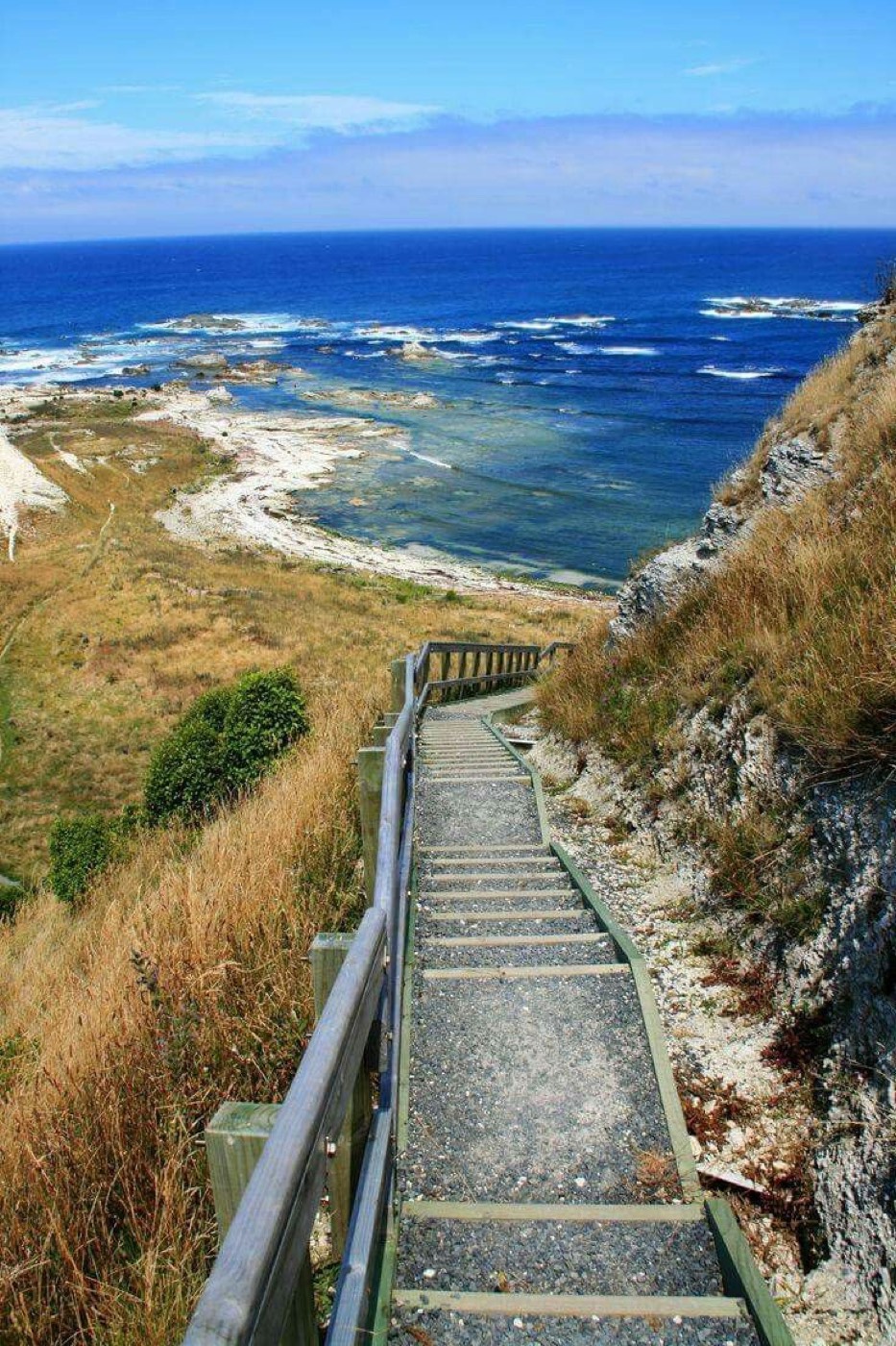 Coastal cliffs, New Zealand