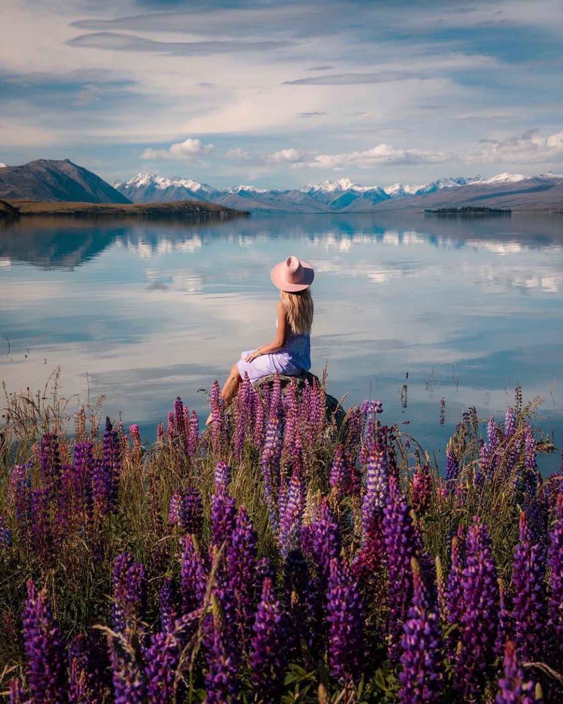 Glacier valley, New Zealand